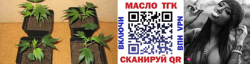 Дистиллят ТГК THC oil  магазин продажи наркотиков  Судогда 