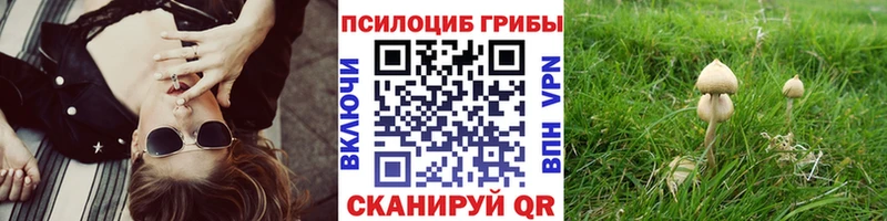 Галлюциногенные грибы GOLDEN TEACHER Судогда